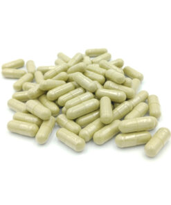 Alternative view of MORINGA CAPSULES