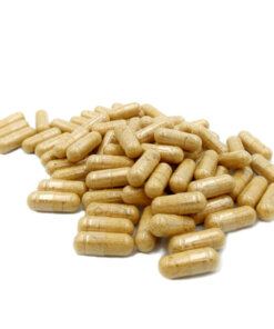 Alternative view of GINGER CAPSULES
