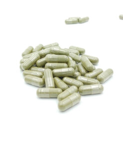Alternative view of STINGING NETTLE CAPSULES